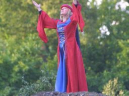 Die Bürger von Frankenberg (2009)
